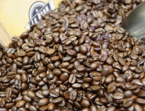 coffee beans thumbnail