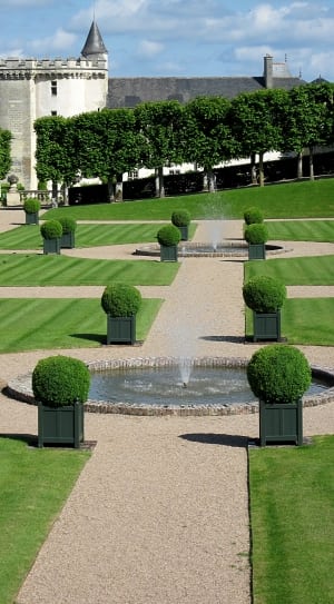 green leaf plant and round water fountain thumbnail