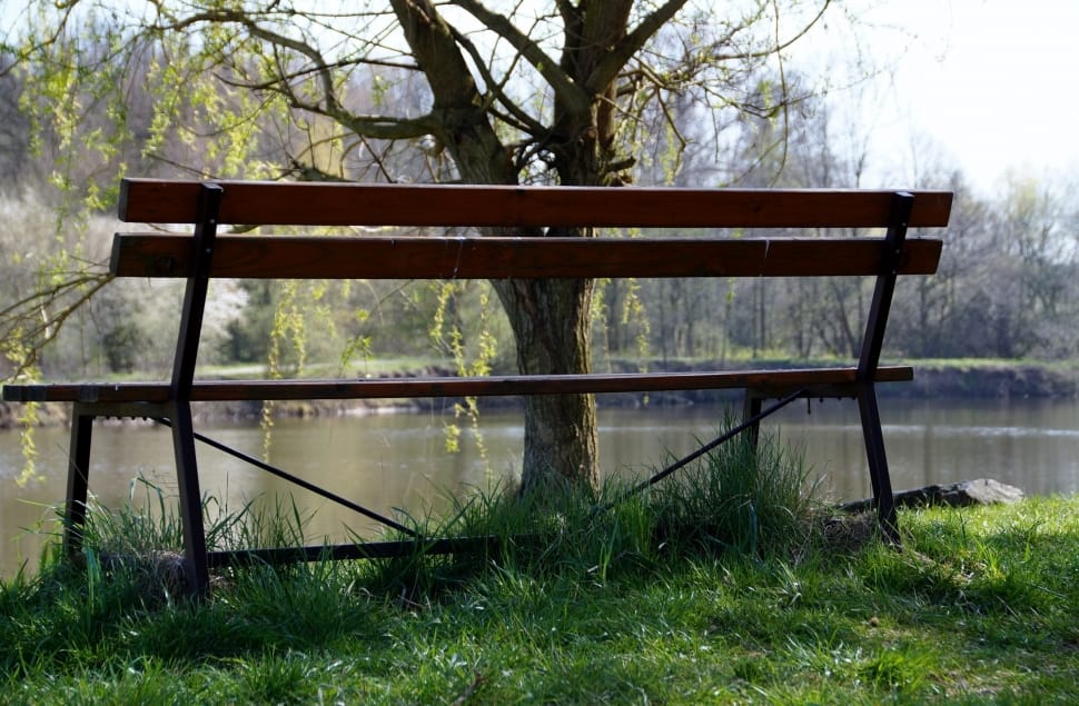 brown steel bench near body of water preview
