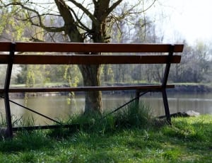 brown steel bench near body of water thumbnail