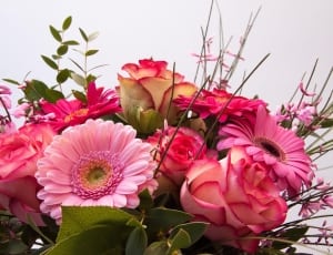 assorted pink flowers bouquet thumbnail