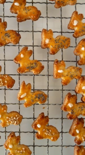 brown animal shaped cookies thumbnail