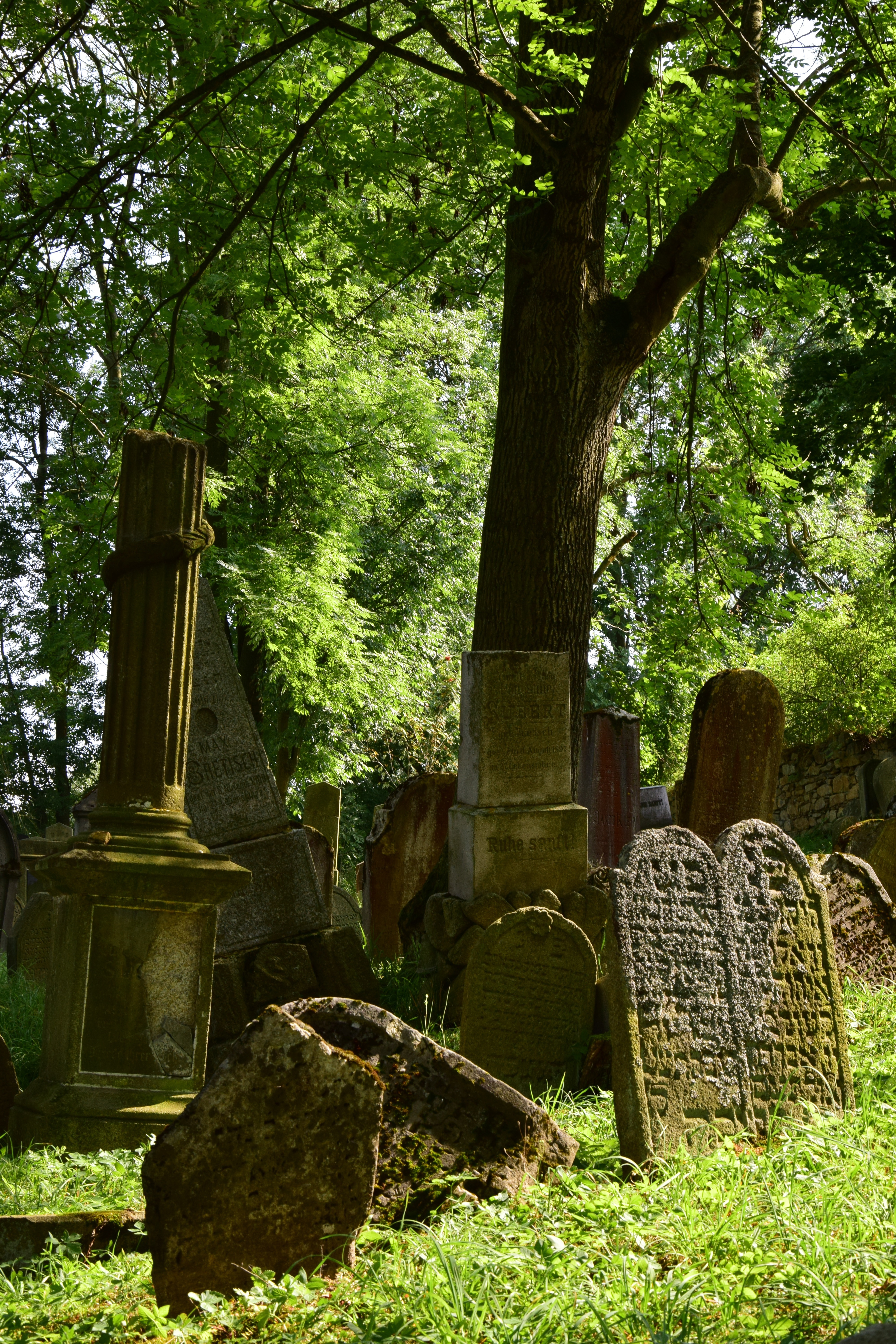 Могильные сады. Кладбище. Красивое кладбище. Старые красивые кладбища. Шикарные кладбища.