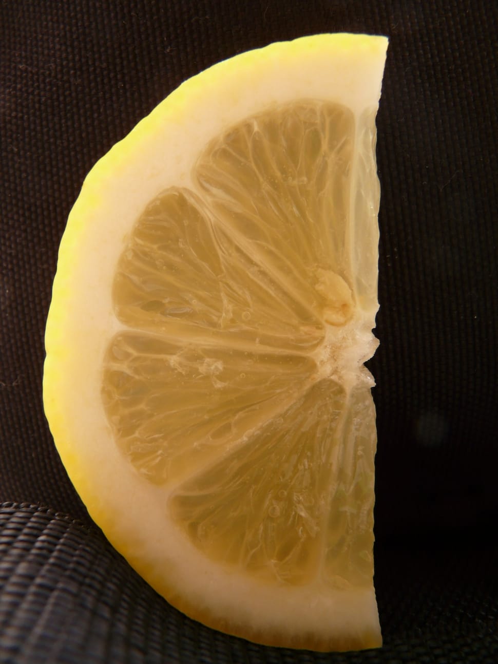 lemon slice preview