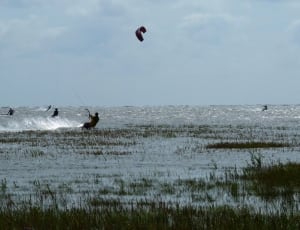 people kite surfing during dayt ime thumbnail