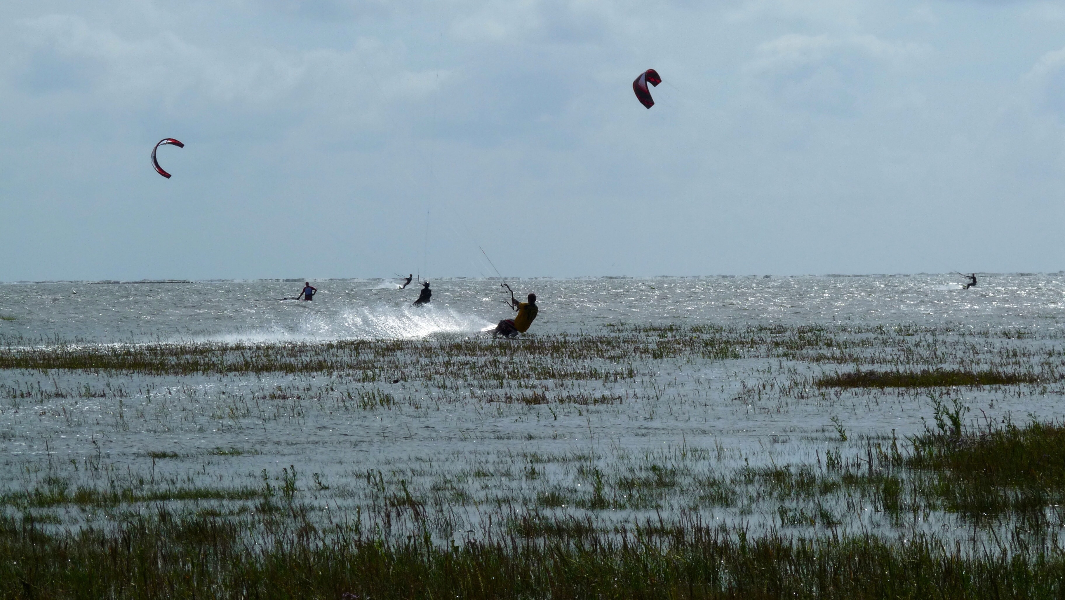 people kite surfing during dayt ime