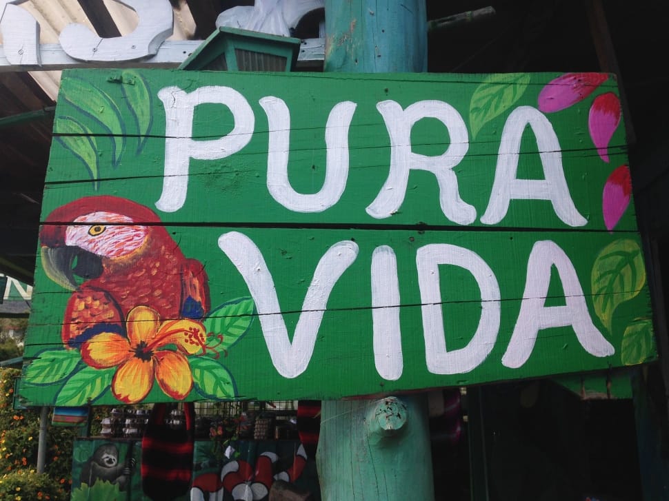 green and white pura vida signage preview