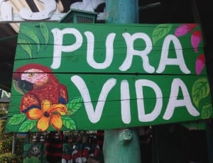green and white pura vida signage thumbnail