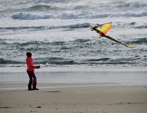 person playing dragon kite on the beach thumbnail