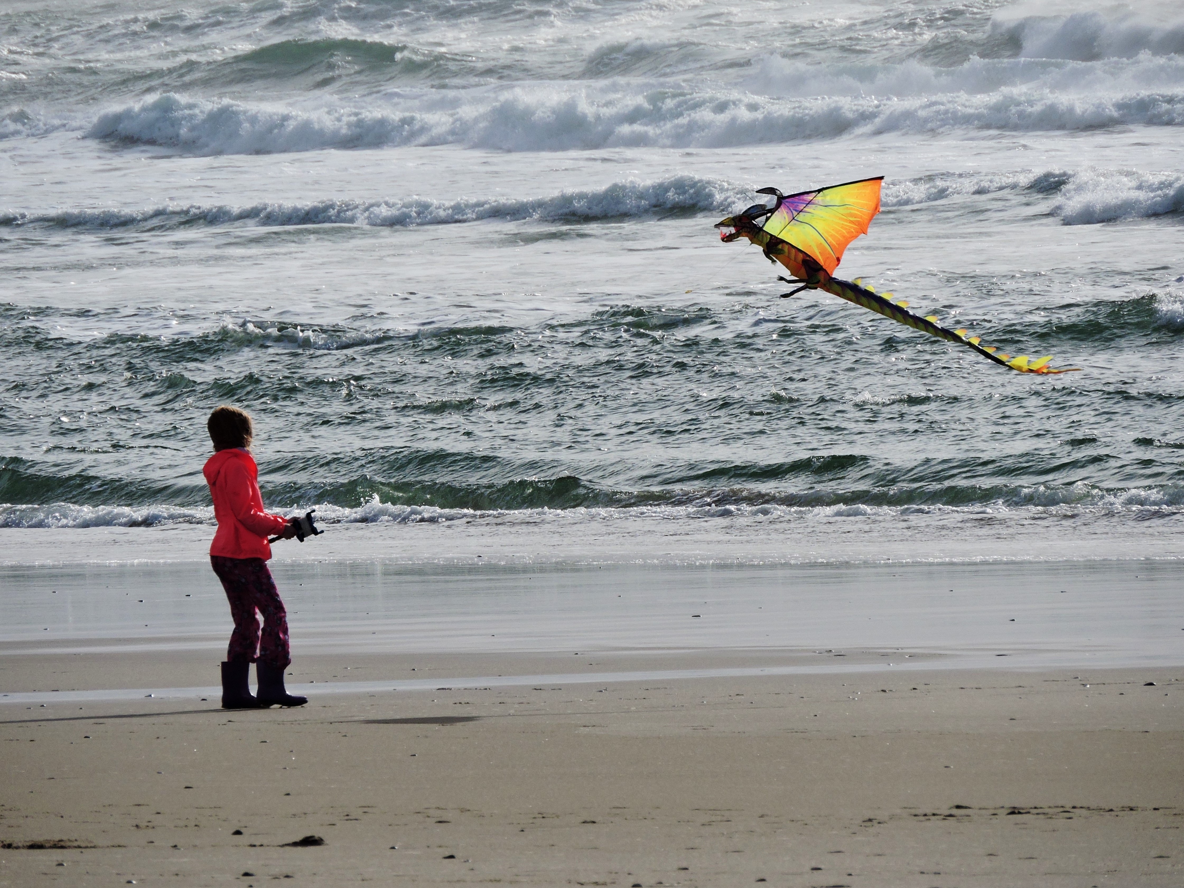 person playing dragon kite on the beach