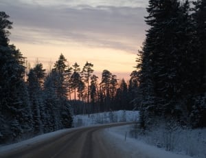 brown snow-themed road thumbnail