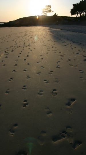 grey sand with footprints during twilight thumbnail