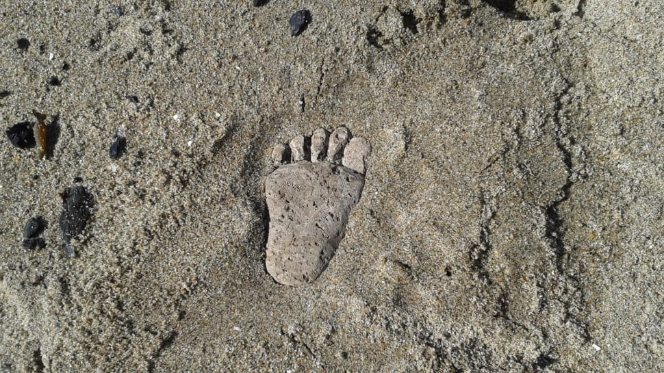 gray human foot print preview