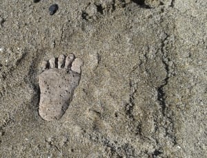 gray human foot print thumbnail