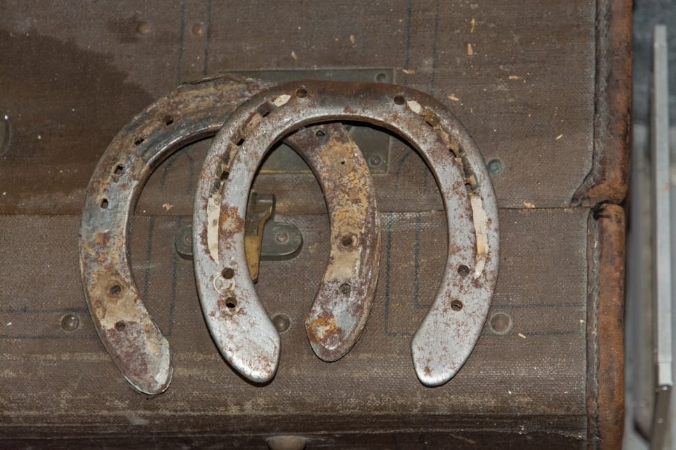 gray steel horseshoe preview