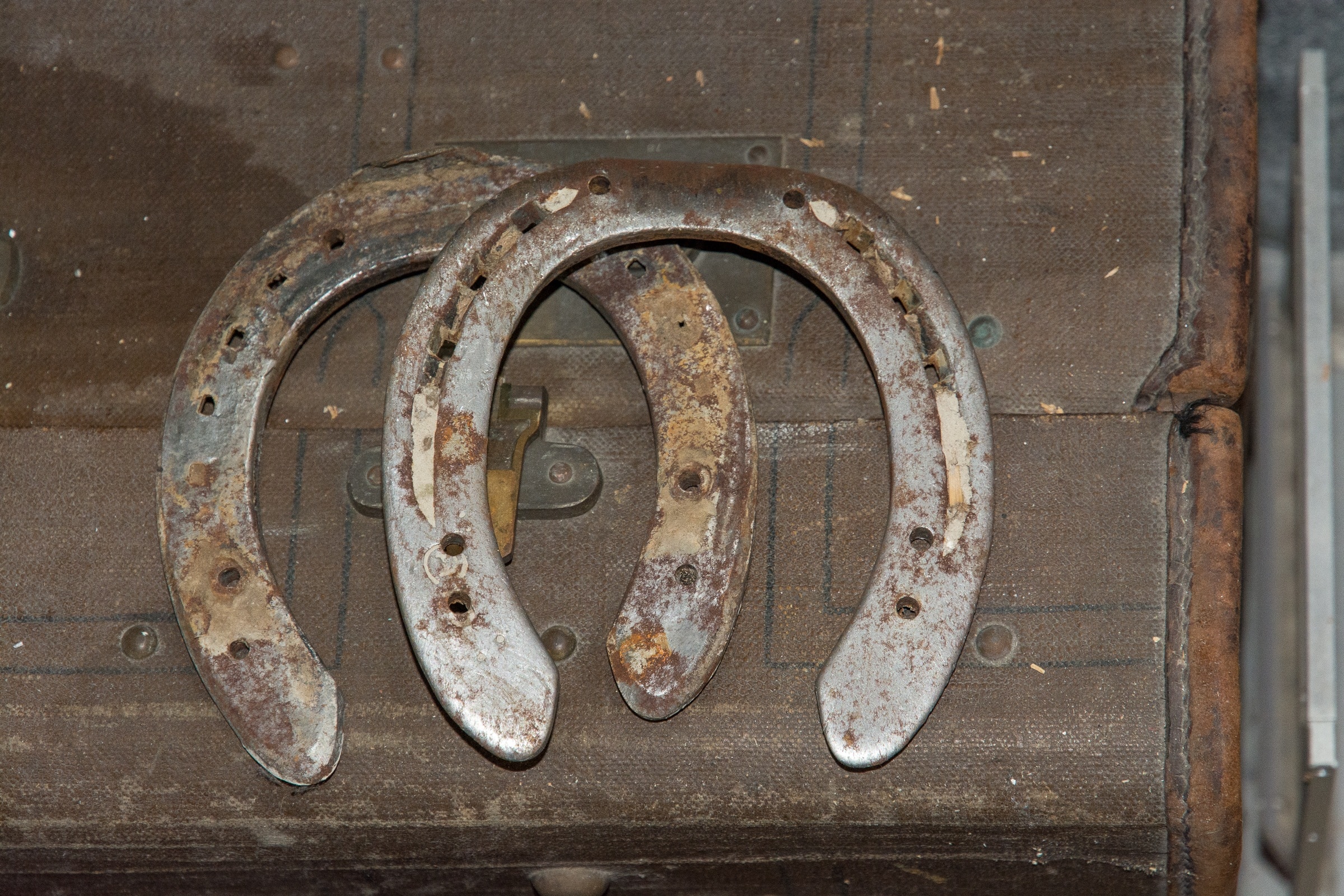 gray steel horseshoe