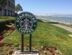 Starbucks Coffee outdoor signage near the ocean thumbnail