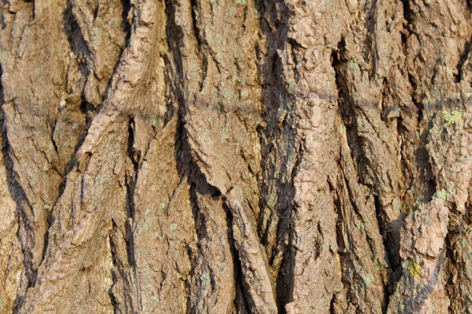 brown rock formation preview
