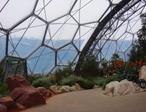 dome geometrical glass park thumbnail