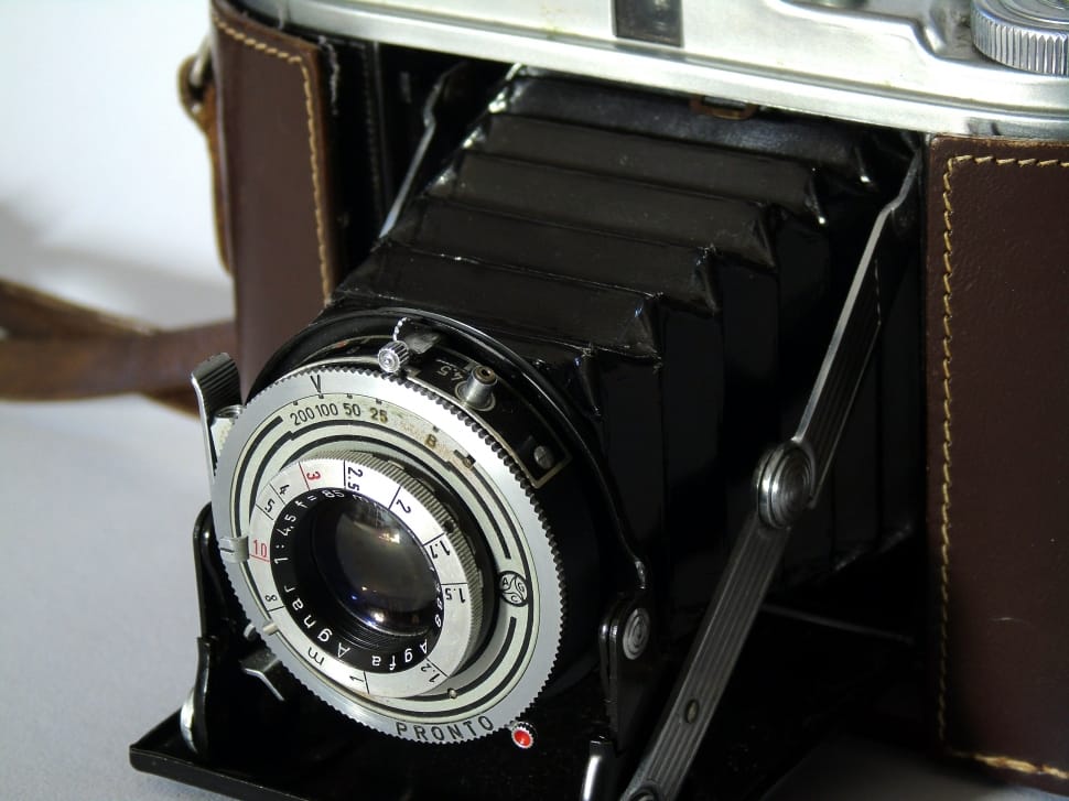 black and brown folding camera preview