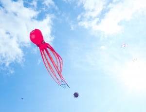 red octopus hot air balloon thumbnail