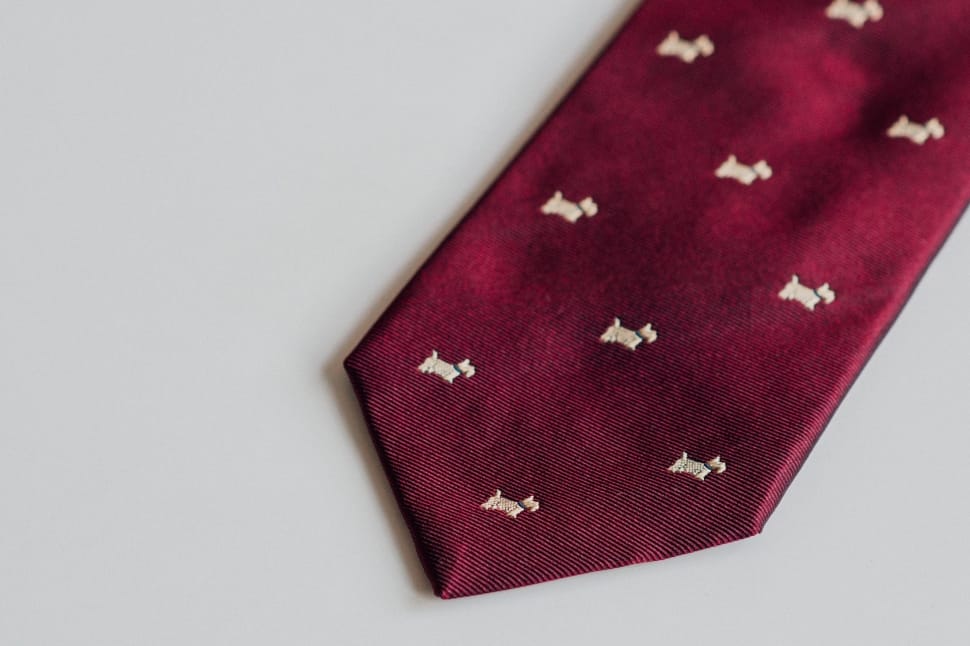 close up photo of maroon and white necktie preview