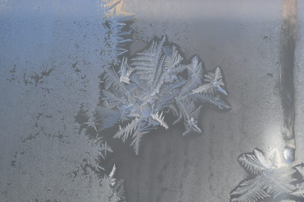 white snowflake preview