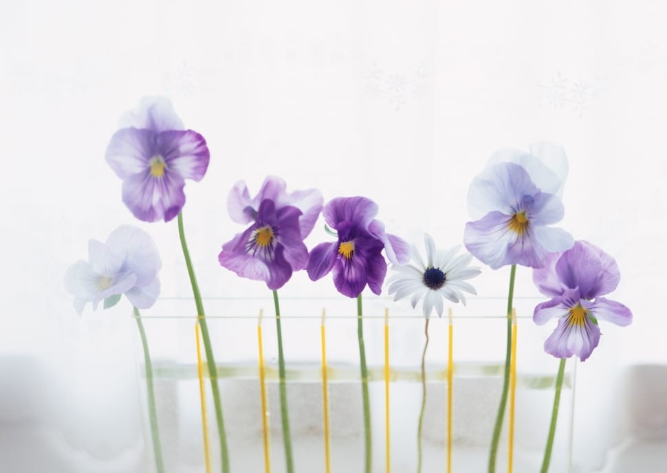painting of purple and white petaled flowers preview