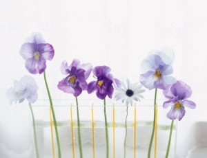 painting of purple and white petaled flowers thumbnail
