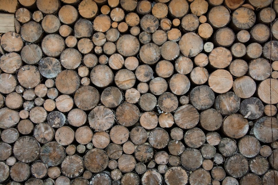 pile of brown firewood preview