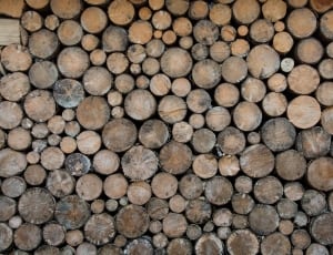 pile of brown firewood thumbnail