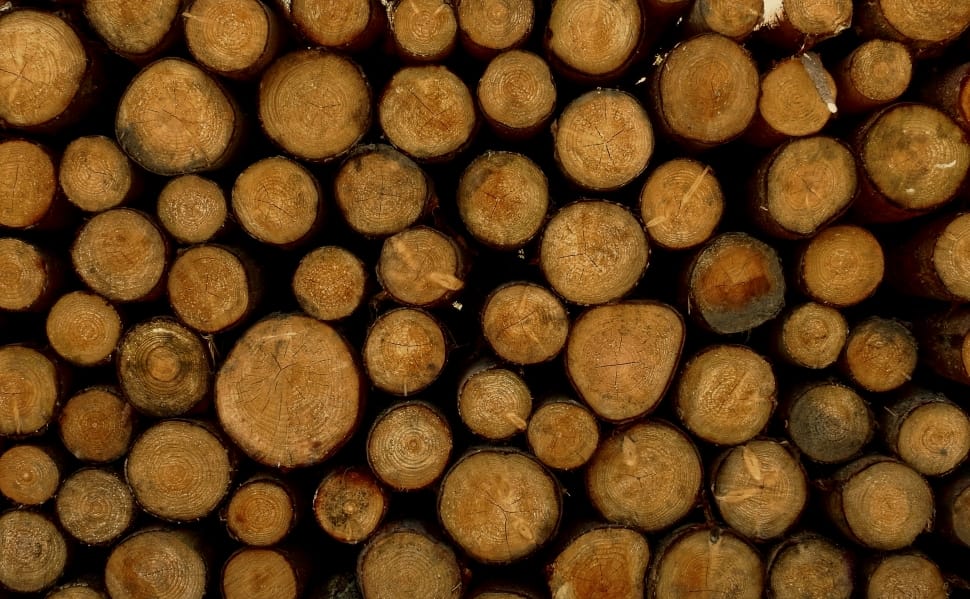 brown logs preview