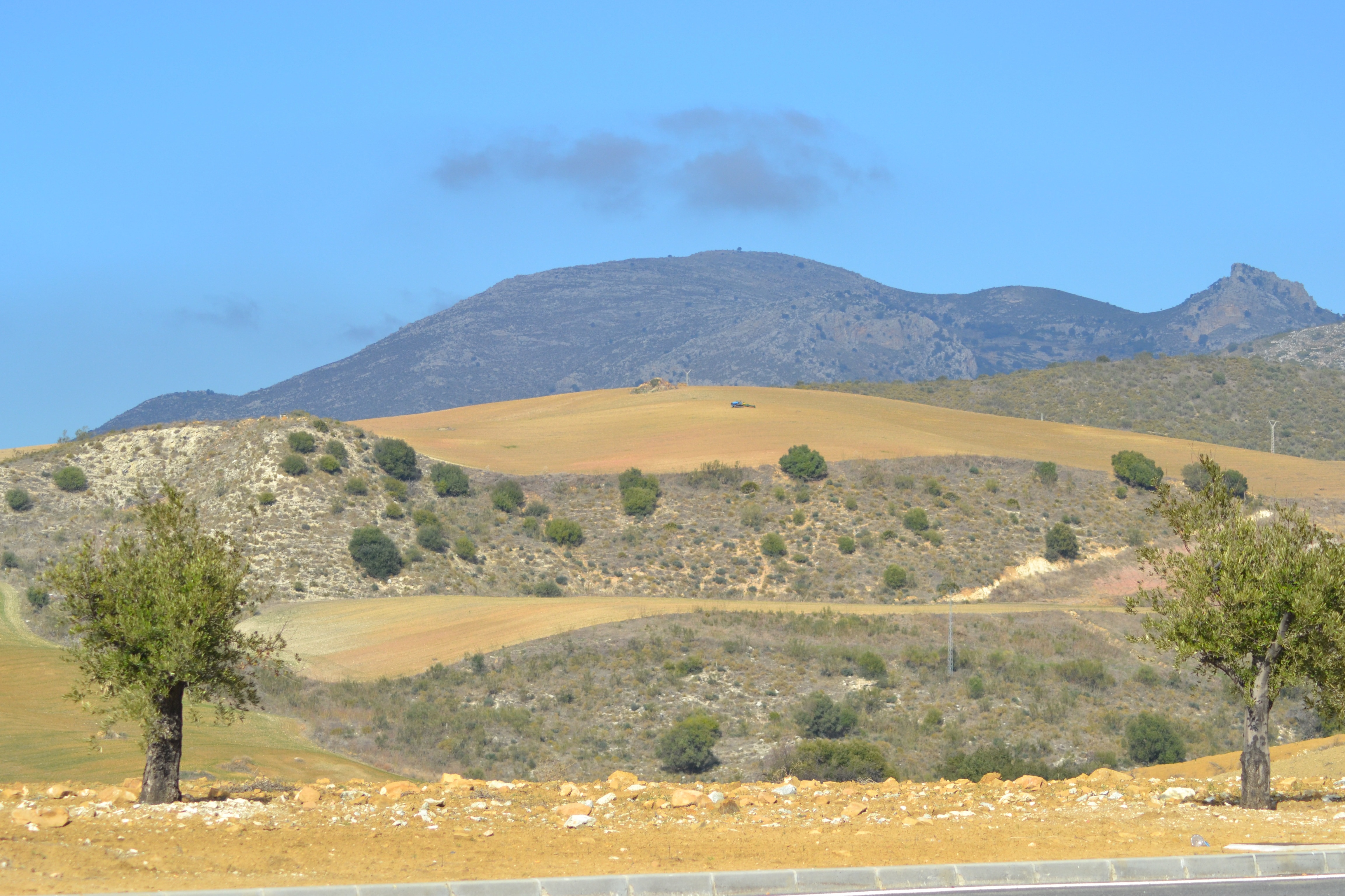 green covered mountain durig daytime