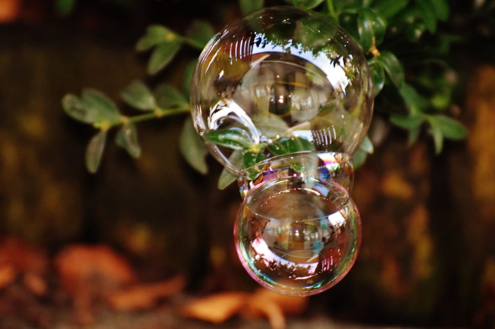 clear bobble preview