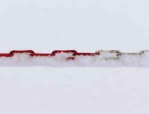red and brown chain thumbnail