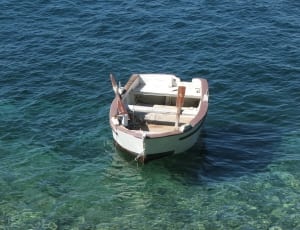 white and brown boat thumbnail