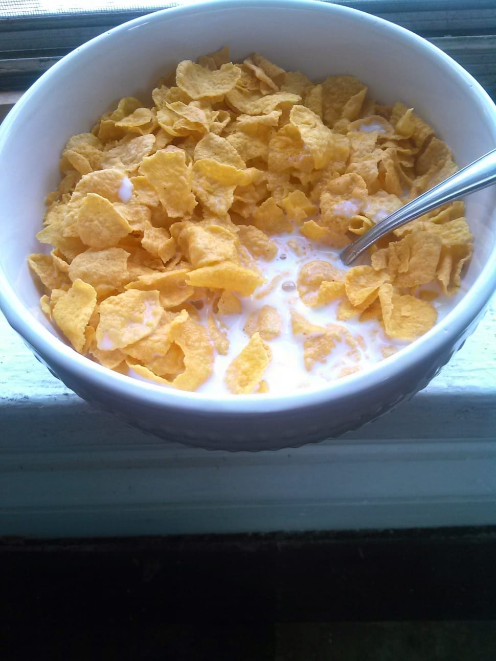 chips with milk in white ceramic bowl preview
