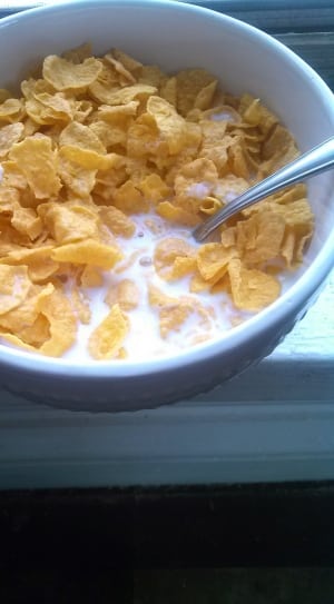 chips with milk in white ceramic bowl thumbnail