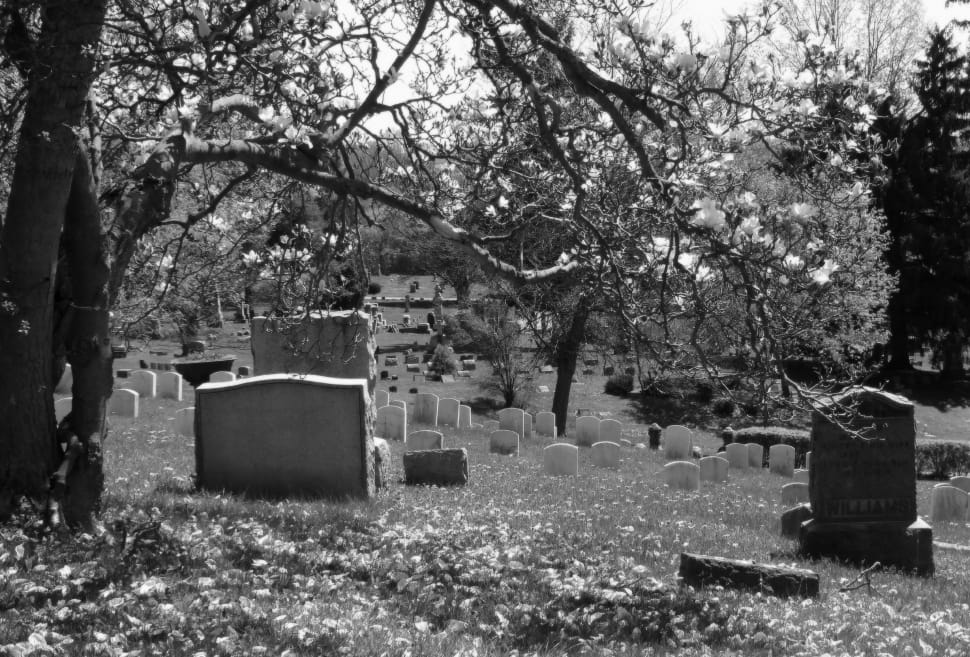 grayscale photography of graveyard preview