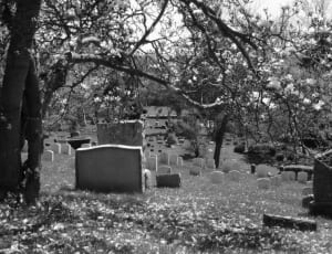 grayscale photography of graveyard thumbnail