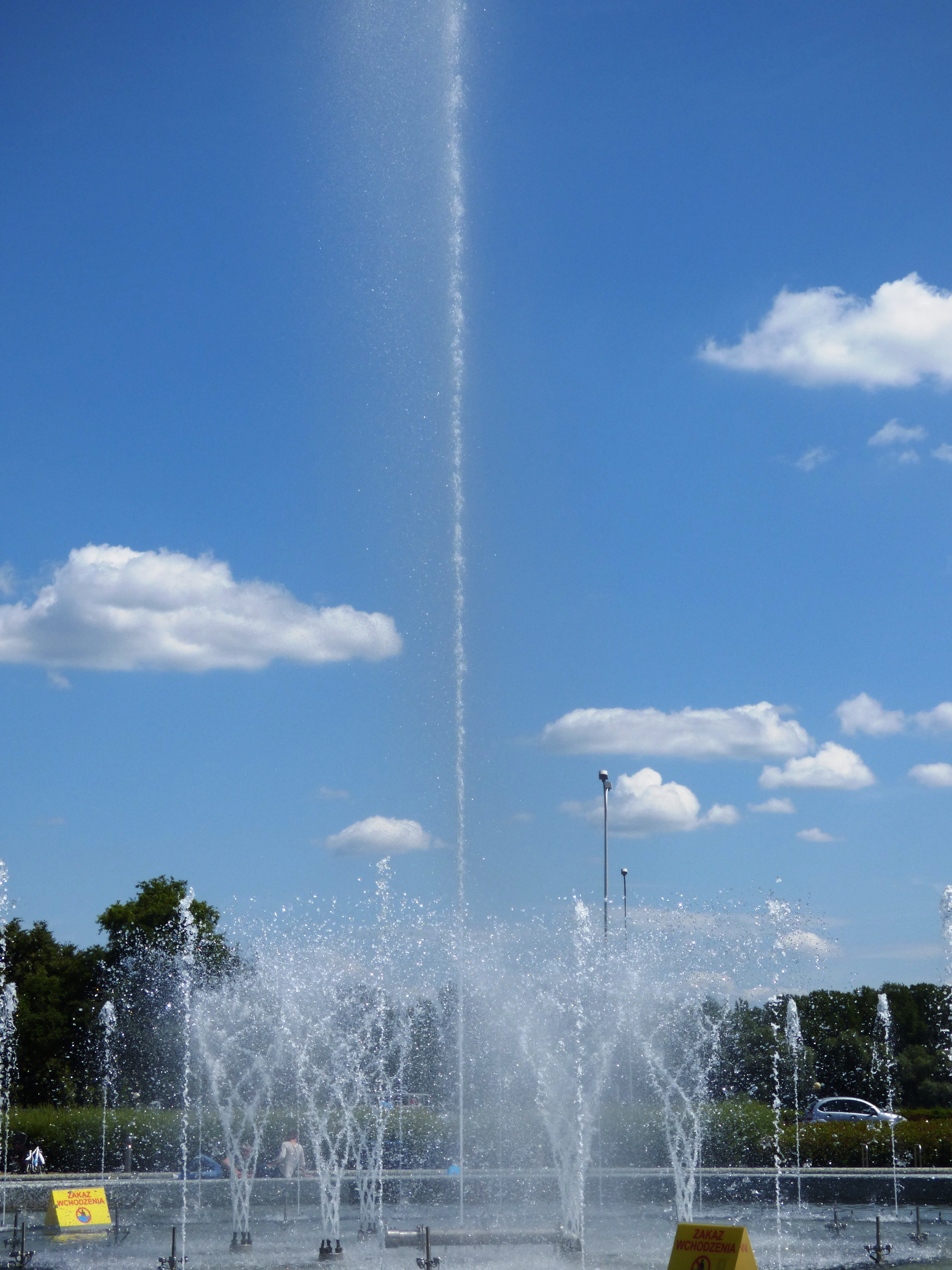 fountain near trees during daytime