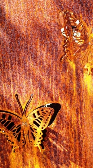 2 brown butterflies decor thumbnail