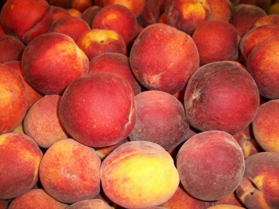 peaches lot preview