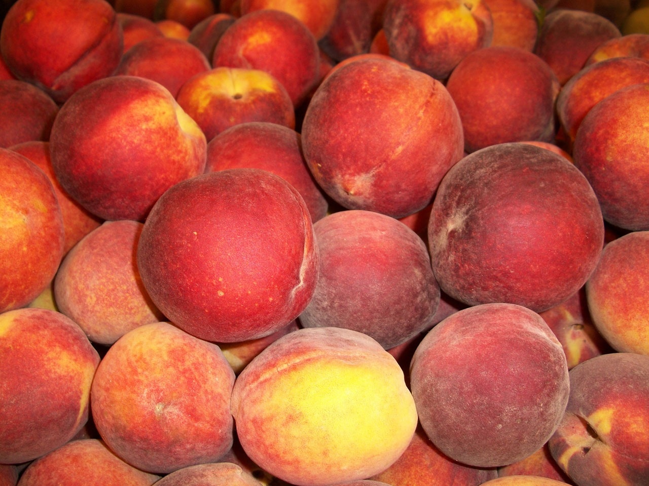 peaches lot