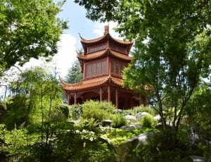 brown pagoda thumbnail
