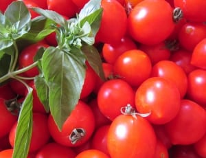 red cherry tomatoes thumbnail