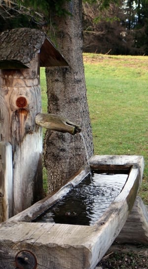 brown wooden horse drinking station thumbnail