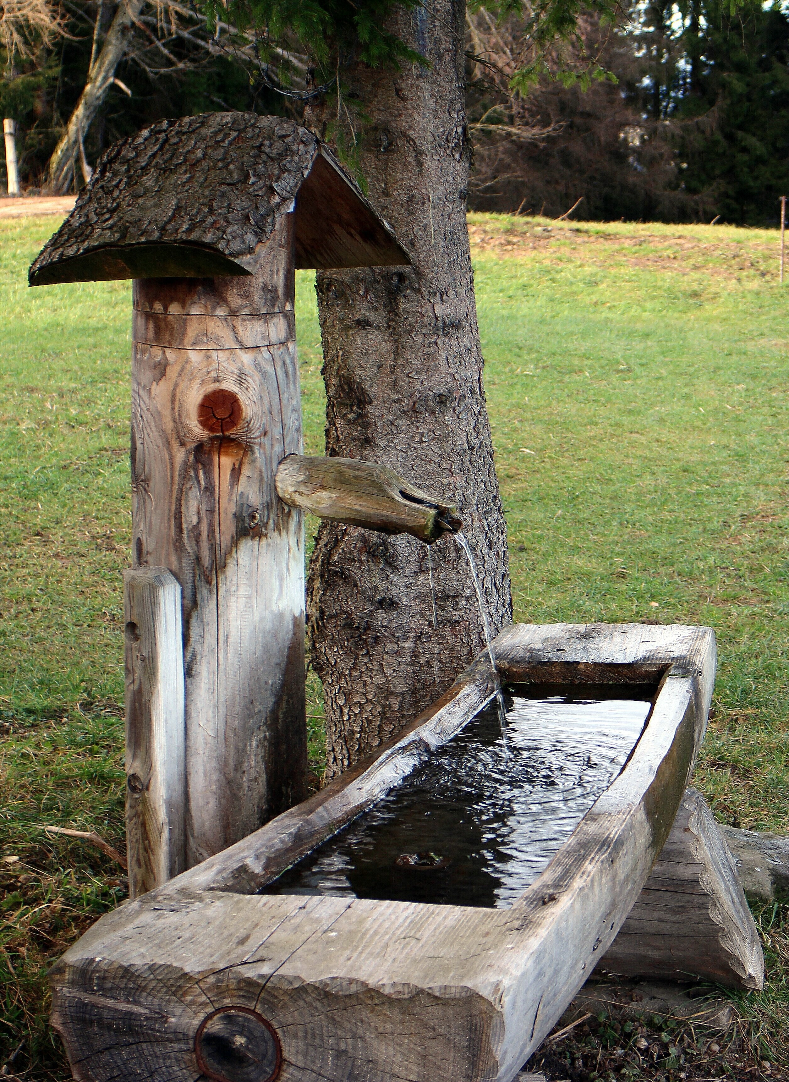 brown wooden horse drinking station