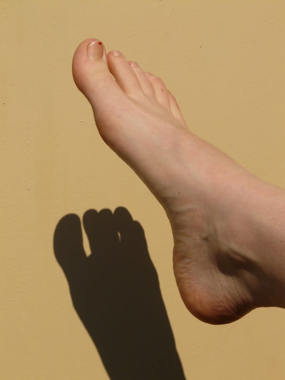 person's right foot preview