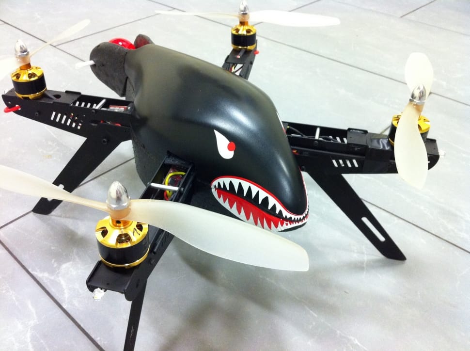 black and white shark drone preview